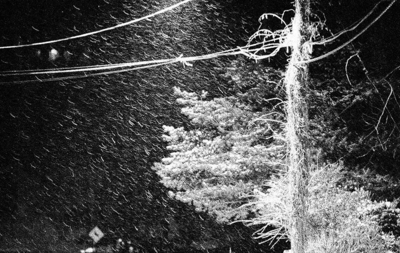 Примеры фотографий Kodak Ektapan P3200