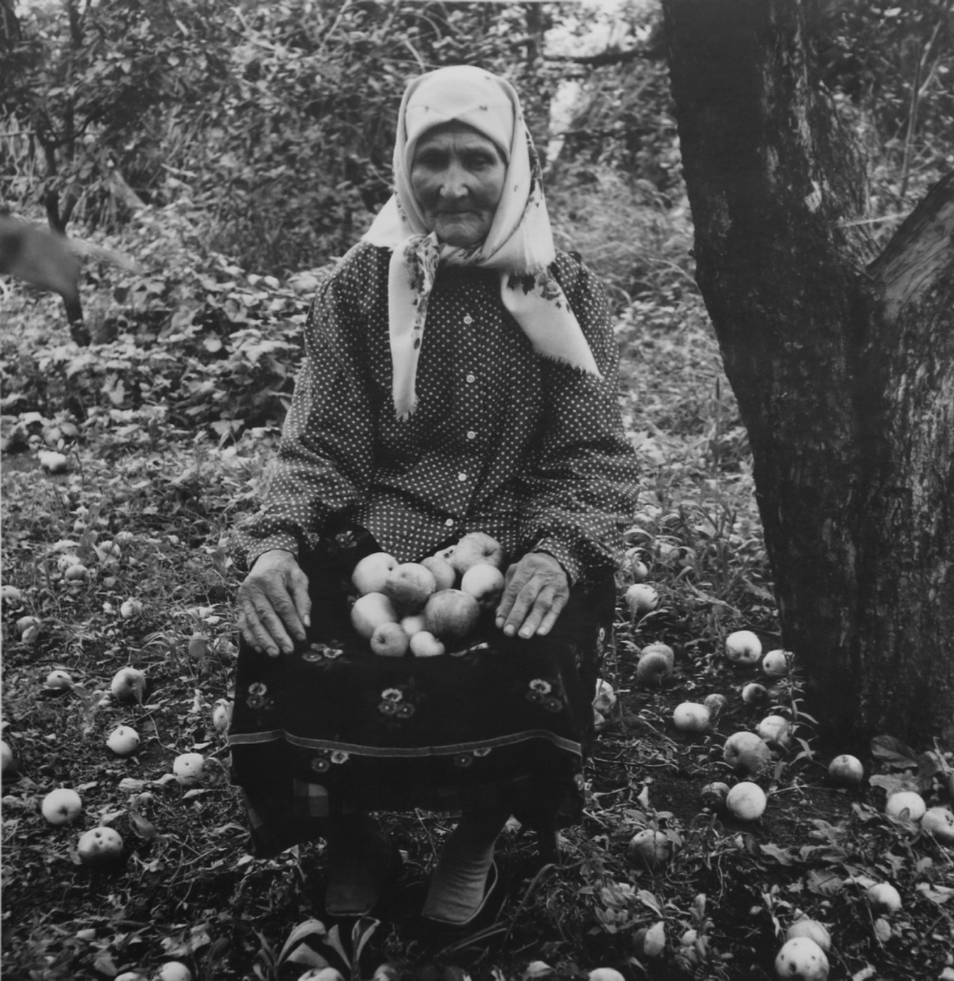 В осеннем саду.Варвара Петровна Харыбина (1981) Фото: Павел Кривцов